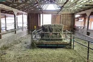 144 Celebrity Dairy Way, Siler City, NC 27344 - Photo 57