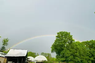 144 Celebrity Dairy Way, Siler City, NC 27344 - Photo 47