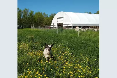 144 Celebrity Dairy Way, Siler City, NC 27344 - Photo 53