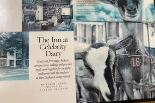 144 Celebrity Dairy Way, Siler City, NC 27344 - Photo 51