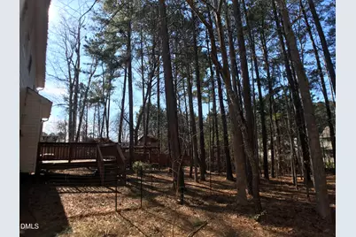 125 McKenzie Meadow Lane, Apex, NC 27539 - Photo 29