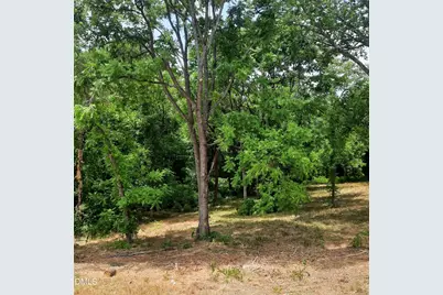 324 Allison Street, Hillsborough, NC 27278 - Photo 7