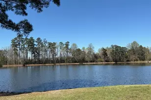 202 Mabry Rd, Angier, NC 27501 - Photo 71