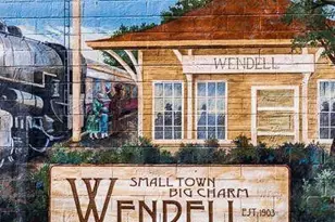 329 Sweetbay Tree Dr, Wendell, NC 27591 - Photo 45