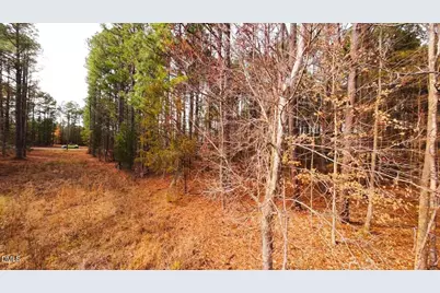 0 Mount Olivet Church Road, Franklinton, NC 27525 - Photo 5