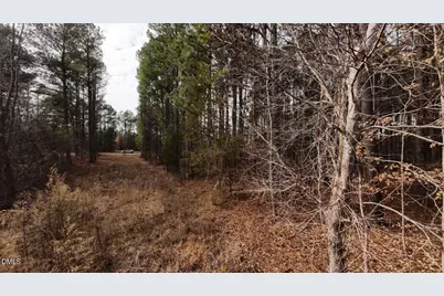0 Mount Olivet Church Road, Franklinton, NC 27525 - Photo 25