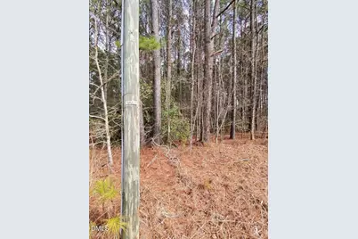 0 Mount Olivet Church Road, Franklinton, NC 27525 - Photo 23