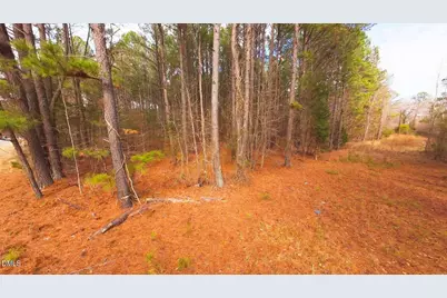 0 Mount Olivet Church Road, Franklinton, NC 27525 - Photo 3