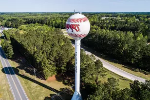 335 Sweetbay Tree Dr, Wendell, NC 27591 - Photo 35