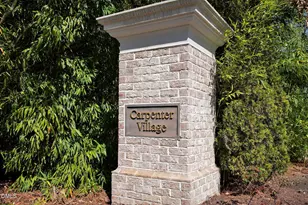 308 Minton Valley Ln, Cary, NC 27519 - Photo 59