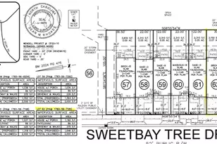 339 Sweetbay Tree Dr, Wendell, NC 27591 - Photo 5