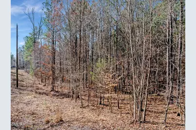 1.30 Acre Big Ruin Creek Lane, Henderson, NC 27537 - Photo 19