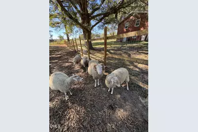 4313-4315 Mitchell Mill Road, Wake Forest, NC 27587 - Photo 39