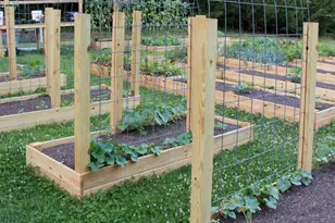 4313-4315 Mitchell Mill Rd, Wake Forest, NC 27587 - Photo 31