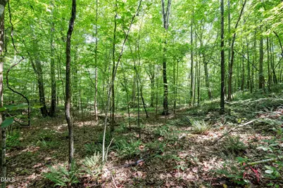 6910 Long Meadow Lane, Whitsett, NC 27377 - Photo 11