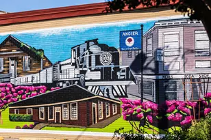 198 Hank Wy, Angier, NC 27501 - Photo 51