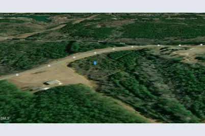 000 1357 State Road, Littleton, NC 27850 - Photo 5