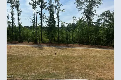 117 Valvanos Way, Wilsons Mills, NC 27520 - Photo 25