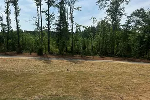 117 Valvanos Wy, Wilsons Mills, NC 27520 - Photo 25