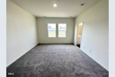 117 Valvanos Way, Wilsons Mills, NC 27520 - Photo 15