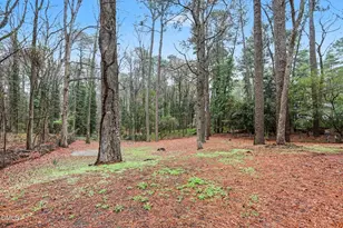 3719 Old Chapel Hill Rd, Durham, NC 27707 - Photo 21