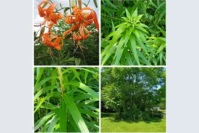 325 N Asheboro Street, Liberty, NC 27298 - Photo 7