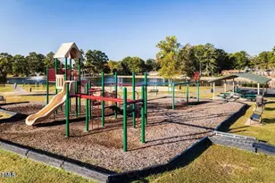 196 Hank Wy, Angier, NC 27501 - Photo 49