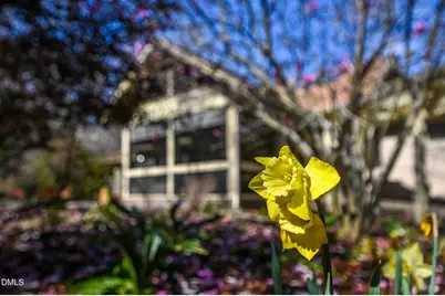 120 Little Doe Lane, Mebane, NC 27302 - Photo 65