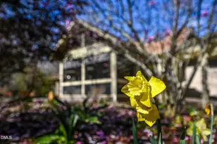 120 Little Doe Ln, Mebane, NC 27302 - Photo 65