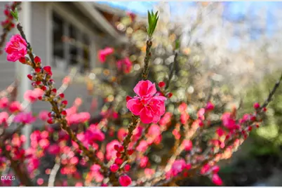 120 Little Doe Lane, Mebane, NC 27302 - Photo 69