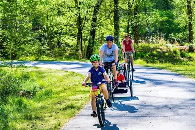 5400 Emerson Drive, Raleigh, NC 27609 - Photo 23