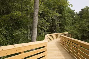 116 Noble Deer Wy, Wendell, NC 27591 - Photo 43