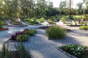 105 Carving Tree Ct, Holly Springs, NC 27540 - Photo 61