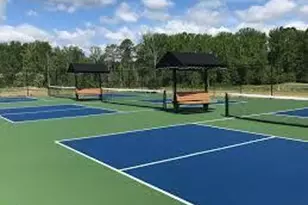 105 Carving Tree Ct, Holly Springs, NC 27540 - Photo 65