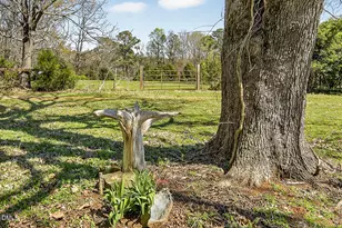 156 Meronies Church Rd, Bear Creek, NC 27207 - Photo 41