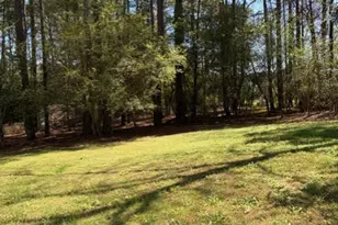 210 Donnibrook Run, Fuquay Varina, NC 27526 - Photo 51