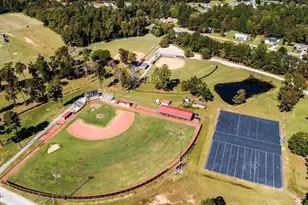 186 Hank Wy, Angier, NC 27501 - Photo 39