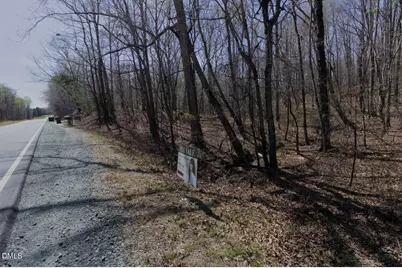 0 Bass Mountain Road, Snow Camp, NC 27349 - Photo 3