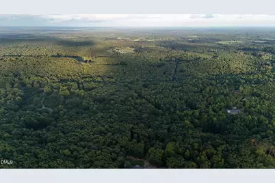 0 Bass Mountain Road, Snow Camp, NC 27349 - Photo 9