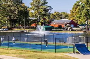 182 Hank Wy, Angier, NC 27501 - Photo 51