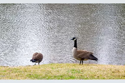 2816 Piedmont River Way, Raleigh, NC 27606 - Photo 39