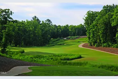 109 Jumping Creek Court, Holly Springs, NC 27540 - Photo 49