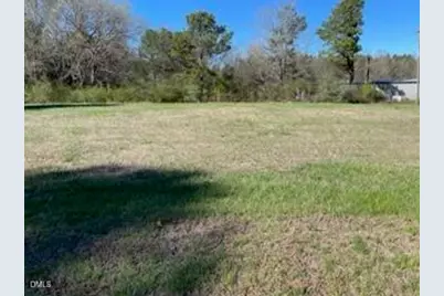 00 Lewis, Oxford, NC 27565 - Photo 3