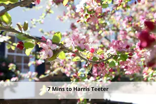 1417 Barliff Pl, Durham, NC 27712 - Photo 5