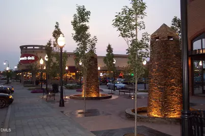 113 Brier Ridge Drive, Durham, NC 27703 - Photo 41