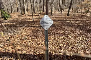 216 Cobblestone Dr, Chapel Hill, NC 27516 - Photo 35