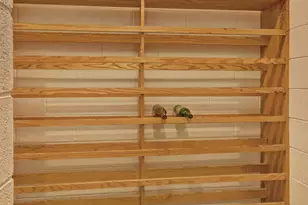 5111 Tudor Pl, Durham, NC 27713 - Photo 33