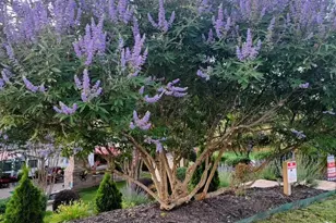 510 Oak Grove Pkwy, Durham, NC 27703 - Photo 41