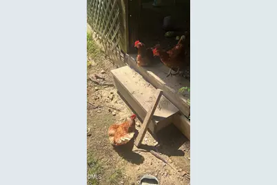 4316 Erwin Road, Durham, NC 27705 - Photo 55