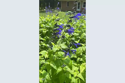 4316 Erwin Road, Durham, NC 27705 - Photo 83